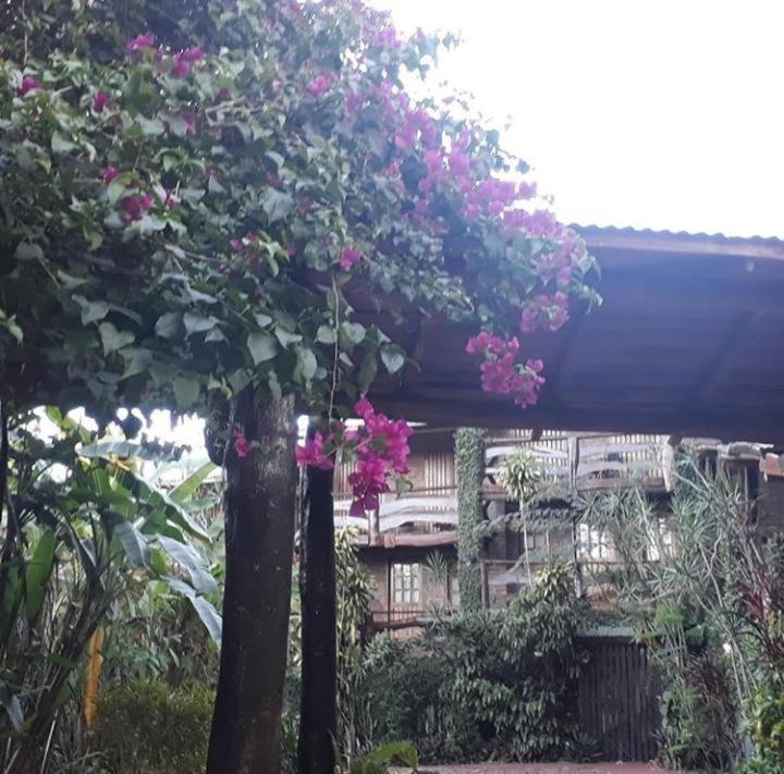 Jasy Hotel Puerto Iguazú Exteriör bild